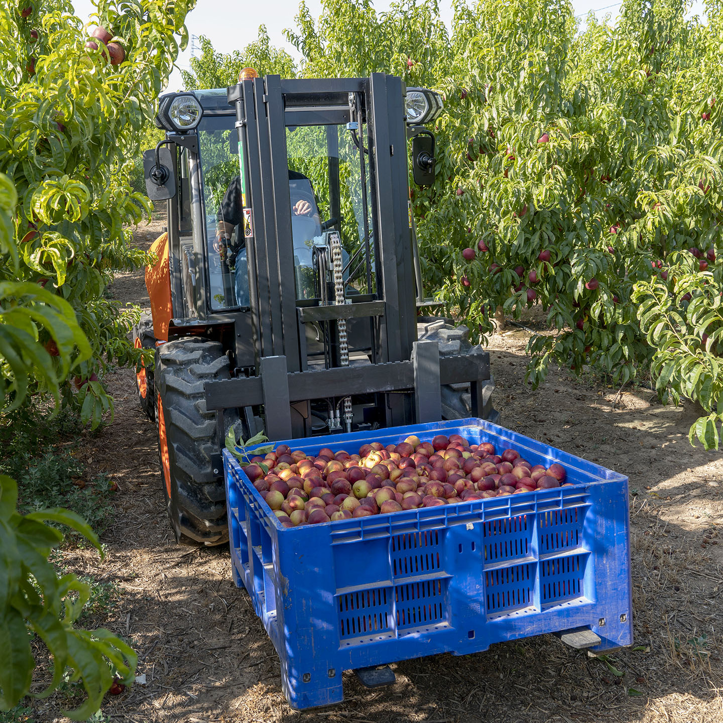 Geländestapler 2,5 Tonnen